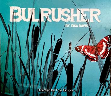 The playbill for the play Bulrusher, which features bulrushes and a butterfly on a blue background that evokes water