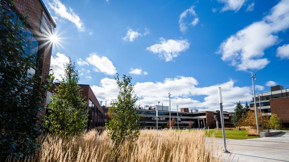 An ultra-blue sky with puffy white clouds dominates this photo of Ordean Court with prarie grasses and leafy green trees