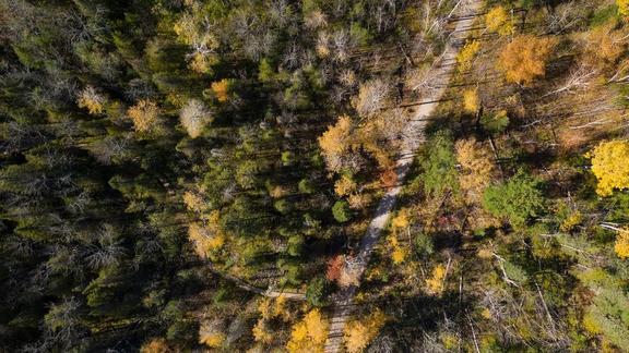 An aerial photo of fall colors at Hartley Park