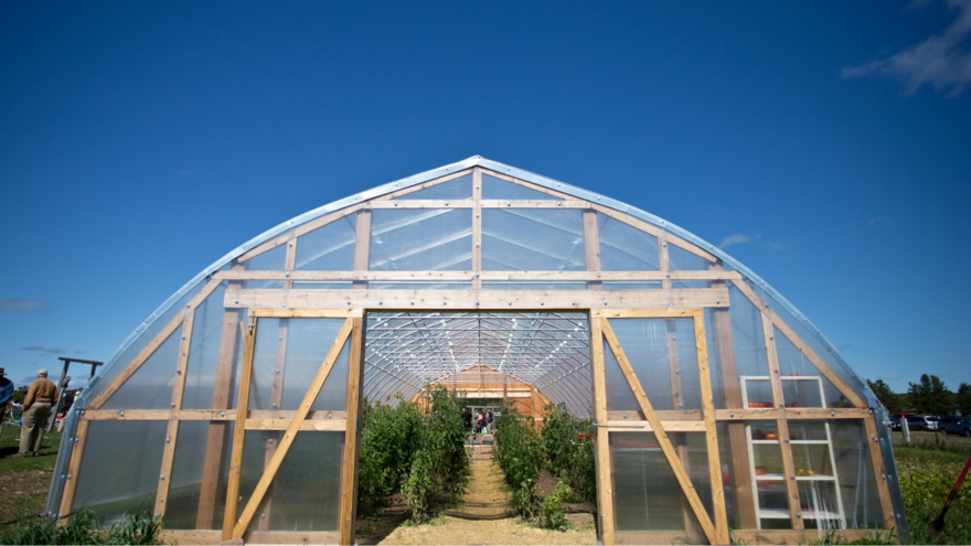 An open greenhouse under a bright blue sky.