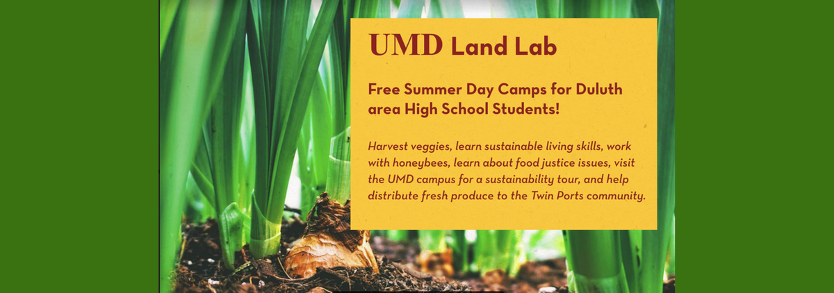 UMD Land Lab: free summer day camps for Duluth area high school students! Harvest veggies, learn sustainable living skills, work with honeybees, learn about food justice issues, visit the UMD campus for a sustainability tour, and help distribute fresh produce to the Twin Ports Community.