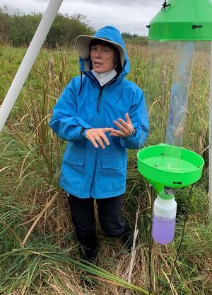 Valerie Brady standing in a field explaining how she is collecting invertebrates to monitor for the study.
