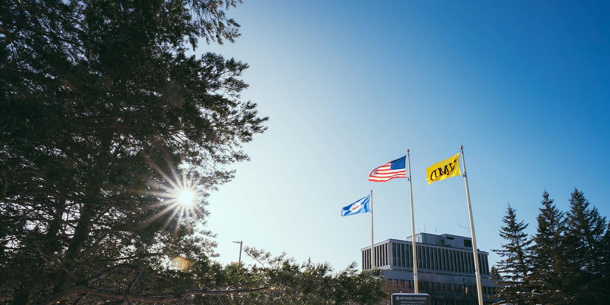 The sun shines through trees with the US, MN and UMD flags flapping against a blue sky.