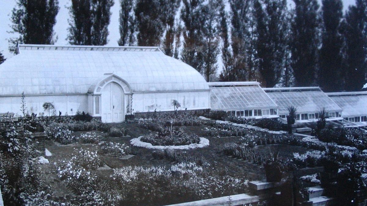 Old photo of Glensheen greenhouse