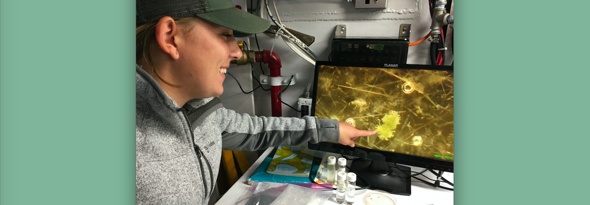 UMD LLO fresh water researcher Kaitlin Reinl views an enlargement of a Blue-green Algal bloom
