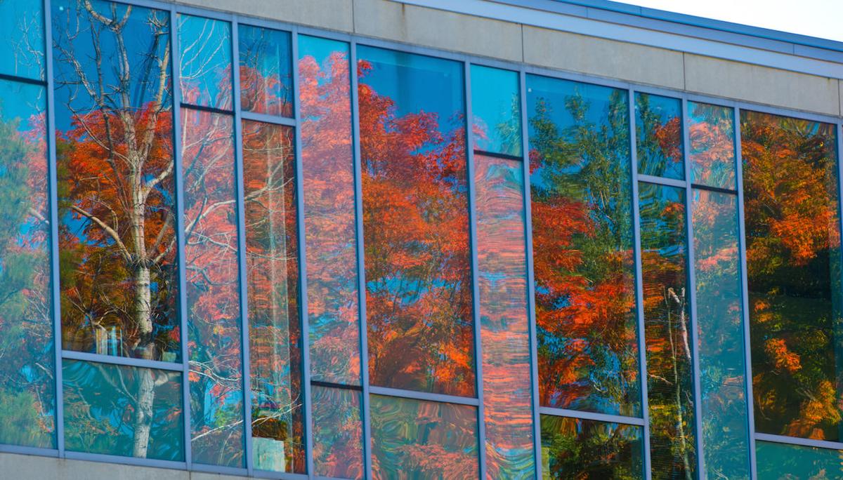 Red leaves are reflected on the LSBE building glass.