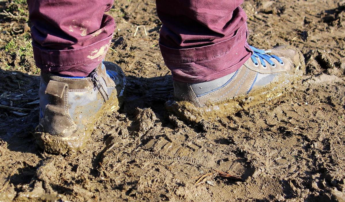 Shoes in mud