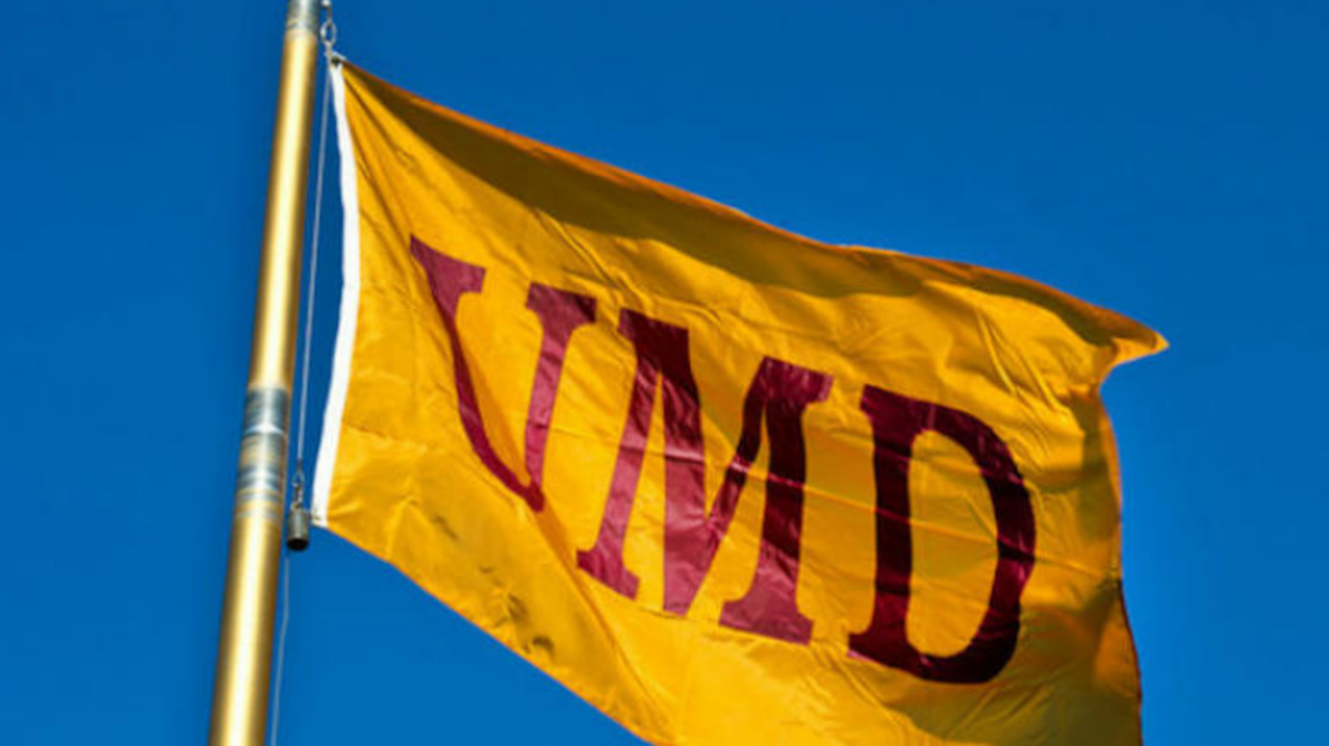 UMD Flag