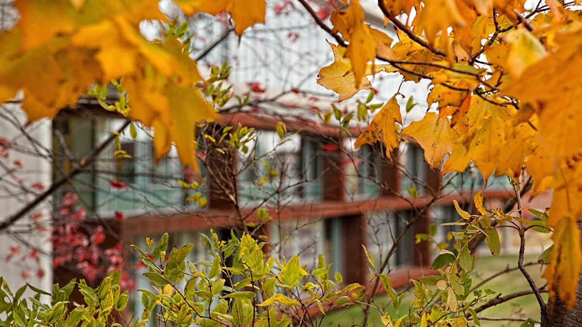 UMD campus building seen through fall foliage 