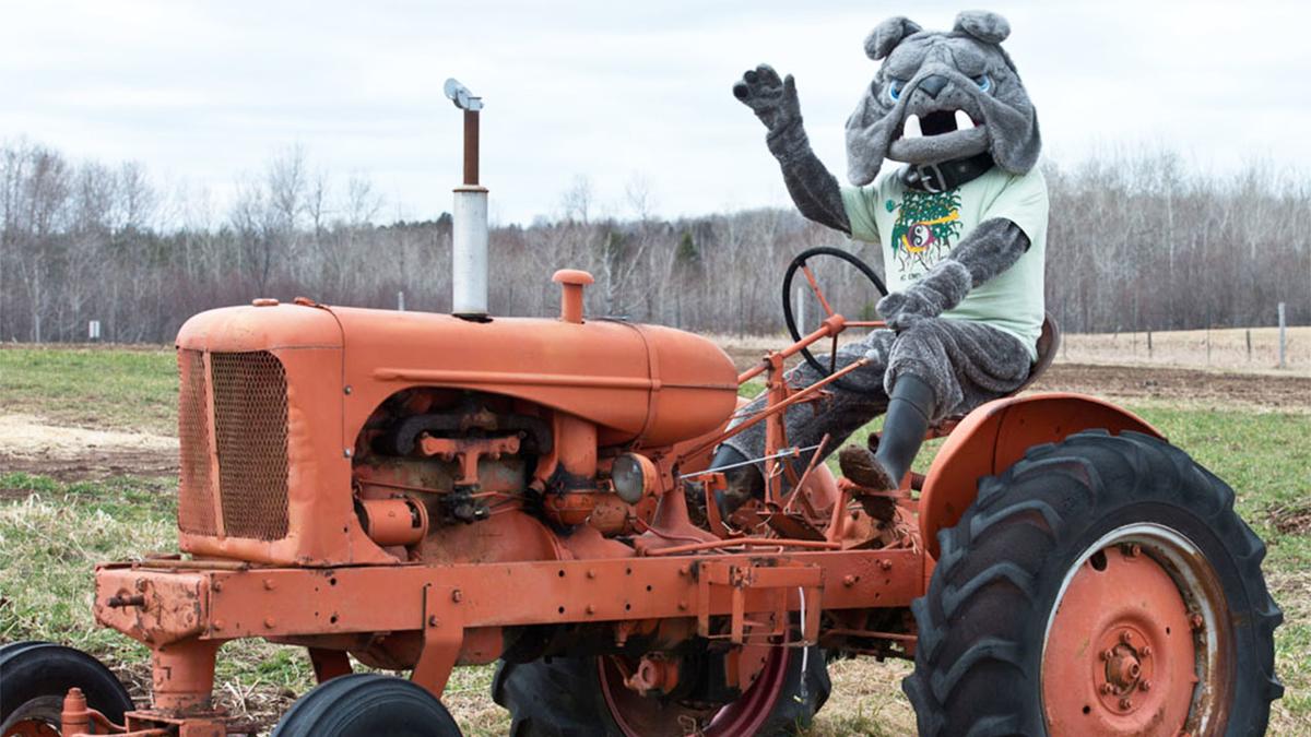 Champ on a tractor at the UMD Farm
