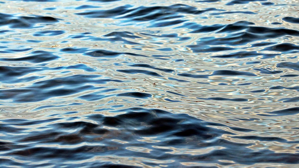 Ripples on a lake