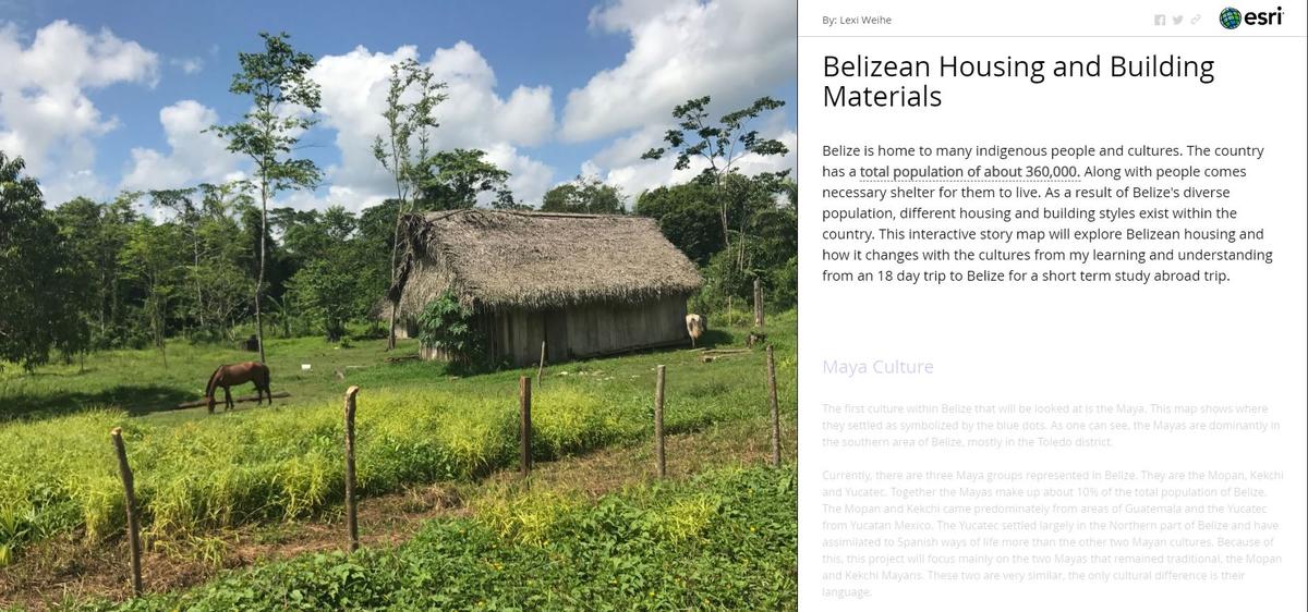 Photo of grass hut. Text: Belizean Housing & Building Materials