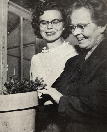 Ardis Peterson was the assistant in the botany department in 1953.