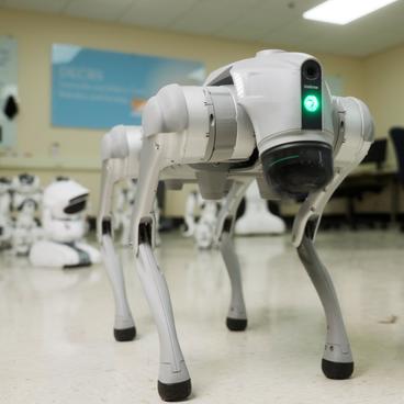 Robotic dog in UMD classroom with other robots in background.