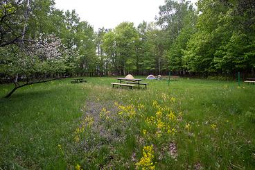 The new campground at Bagley Nature Area opened this summer.