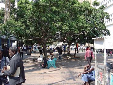 Harare street scene