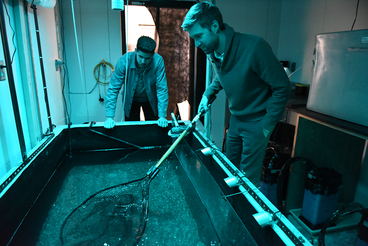 L.J. & Trevor Keyler (in front) are now focusing on a project that tests the distance siscowet lake trout can visually detect prey in tanks with different bottom surfaces.