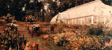 Historic photo of Glensheen's greenhouse