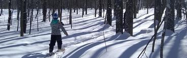 Skiing on the Stowe ski trails