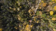 Ariel photo of Hartley trail in the fall