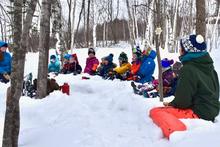 A group of children, sitting in a half circle in the snow in the woods.